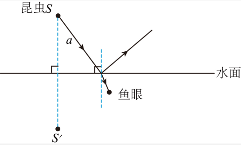 子题答案图